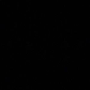 Meet your Posher, Abigail